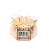 Kit d'expérimentation Horloge citron