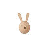 Mini Crochet Mural Lapin