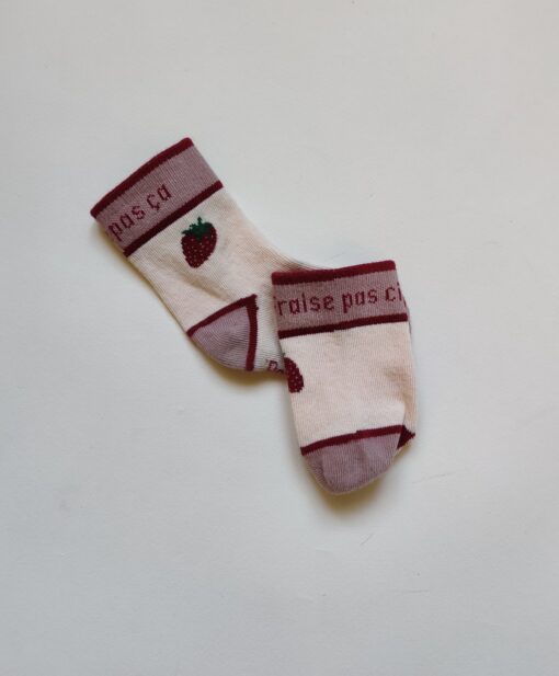 | IMG 20230213 145622 Nos minis